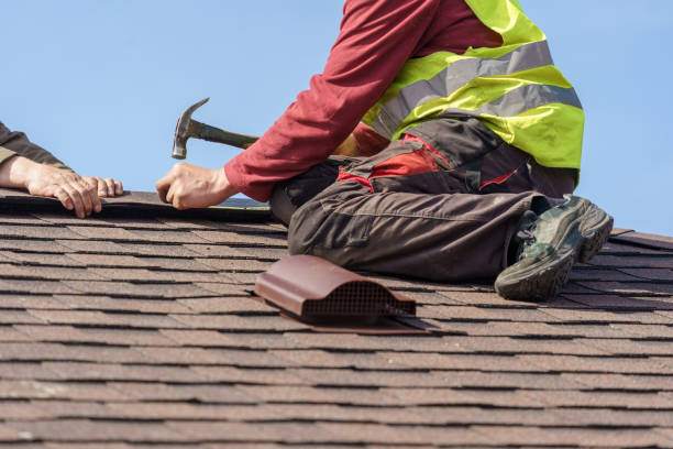 Best Roof Gutter Cleaning  in Meadows Place, TX